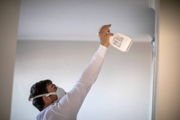 Best Mold Cleaning Services  in Oasis, CA
