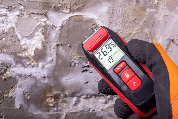Best Emergency Mold Removal  in Oasis, CA