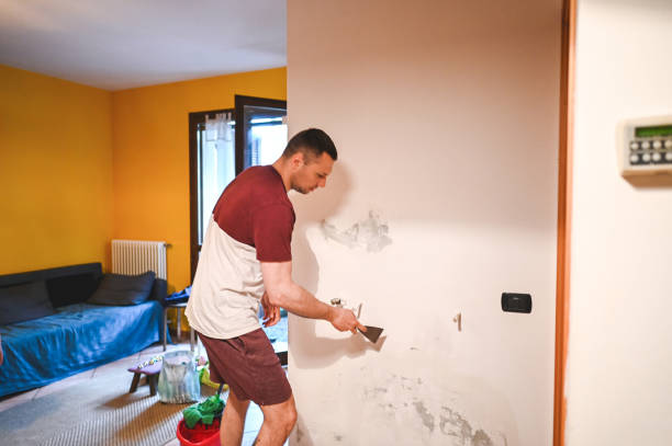 Best Home Mold Removal  in Oasis, CA